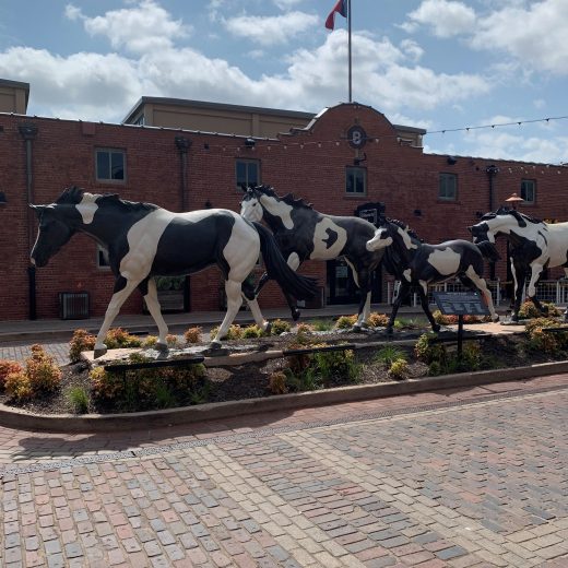 foundation repair for stockyard in dallas, tx